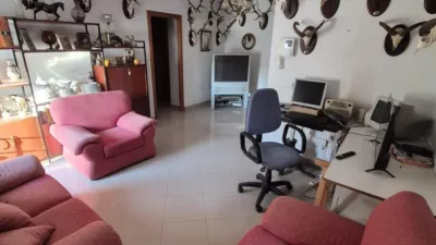 Apartment on Camino de Bornos photo 4