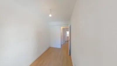 Flat in Casco Antiguo photo 12