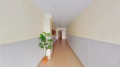 Apartment in La Creu Coberta photo 32