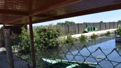 Rustic Finca in Poble Nou del Delta - Eucalyptus photo 27