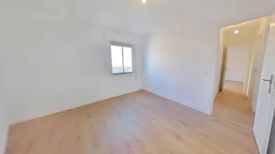 Apartment in Centro photo 16