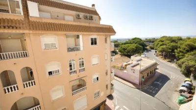 Apartment in Acequion photo 22