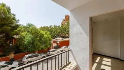 Apartment on Carrer de Camp Redo photo 4
