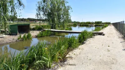 Rustic Finca in Poble Nou del Delta - Eucalyptus photo 21