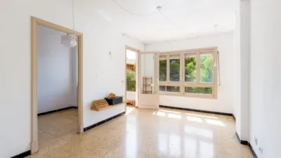 Apartment on Carrer de Camp Redo photo 5