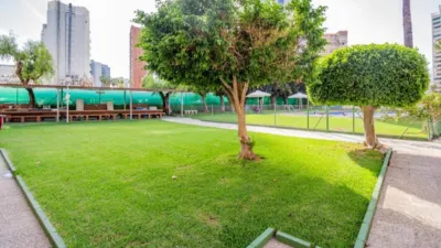 Apartment on Avenida de Juan Fuster, Zaragoza photo 24