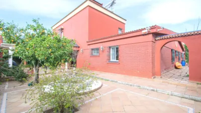 Chalet in Las Almenas photo 5
