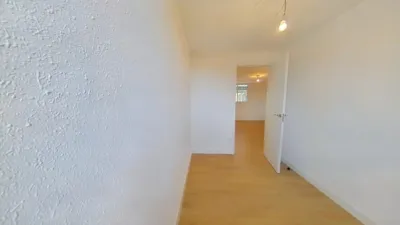 Apartment in Arcos photo 13