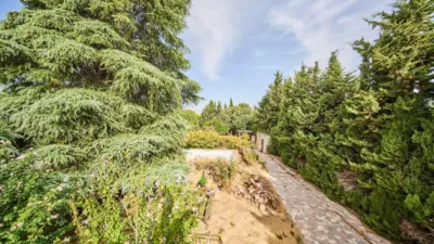 House on Calle Extrarradio, No. 132 photo 57