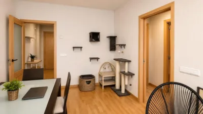 Apartment on Carrer del Marquès de Caldes de Montbui photo 5