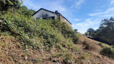 Rustic Finca in San Pedro del Romeral photo 51
