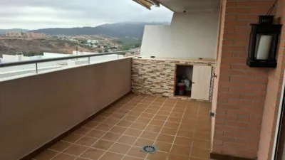 Apartment in San Bernabé photo 17