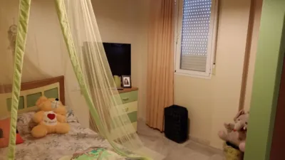 Apartment in La Viña photo 9