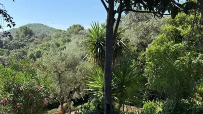 House in Andalusia photo 70