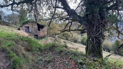 Rustic Finca in San Pedro del Romeral photo 47