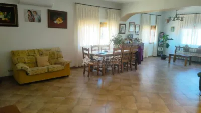 Chalet in Campet photo 30