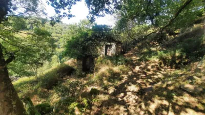 Rustic Finca in San Pedro del Romeral photo 53