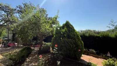 House in Andalusia photo 7