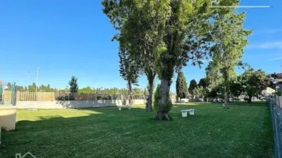 Piso – Torrevieja, Urbanización El Chaparral - Más
