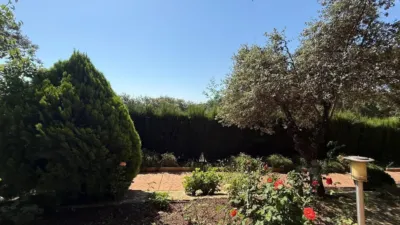 House in Andalusia photo 79