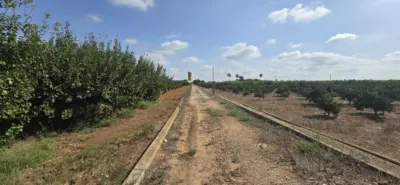 Rustic finca in Alginet photo 27