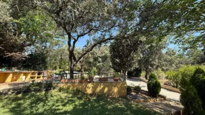 House in Andalusia photo 73