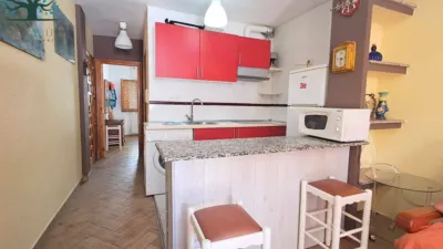 Apartment in Bahía photo 8