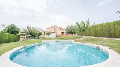 Terraced house in Carrer Dentol photo 38