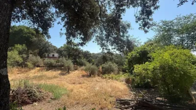 House in Andalusia photo 83