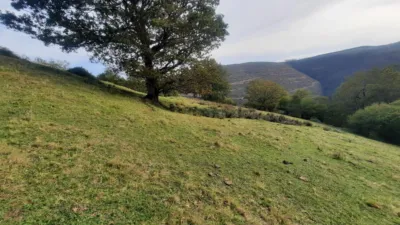 Rustic Finca in San Pedro del Romeral photo 70