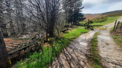 Rustic Finca in San Pedro del Romeral photo 16
