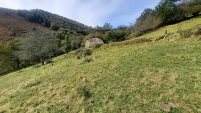 Rustic Finca in San Pedro del Romeral photo 59