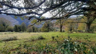 Rustic Finca in San Pedro del Romeral photo 62
