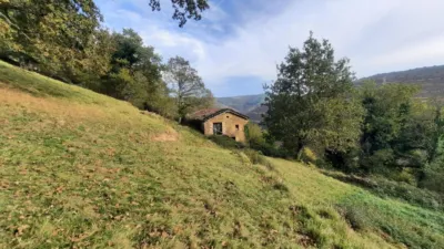 Rustic Finca in San Pedro del Romeral photo 58