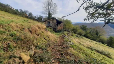 Rustic Finca in San Pedro del Romeral photo 55