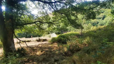 Rustic Finca in San Pedro del Romeral photo 66