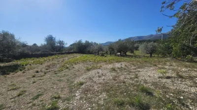 Rustic finca in Polígono 6 Parcela 206 Codonyol, Alcanar [Tarragona] photo 15