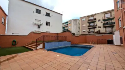Apartment on Avenida de la Senda de la Moza photo 30