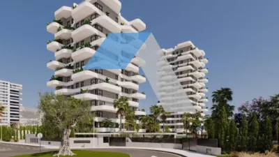 Apartamento en Playa Arenal-Bol photo 4