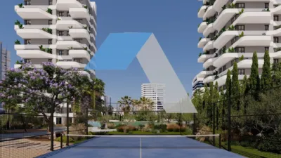 Apartamento en Playa Arenal-Bol photo 11