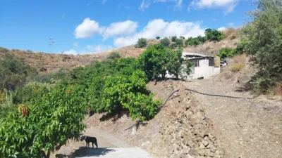 Rustic Finca on Camino de Las Lomas photo 3