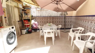 Pis – Elx / Elche, Camí dels Magros, el Baix Vinalopó - Vista 2