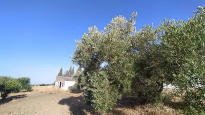 Rustic finca on Carretera Arcos Algar photo 4