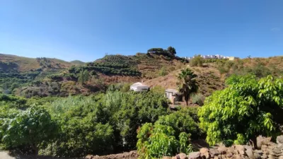 Rustic Finca on Camino de Las Lomas photo 2