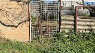 House on Carretera Arcos El Bosque photo 11