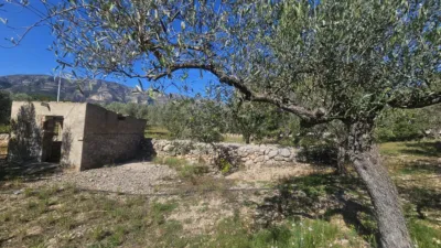 Rustic finca in Polígono 6 Parcela 206 Codonyol, Alcanar [Tarragona] photo 19