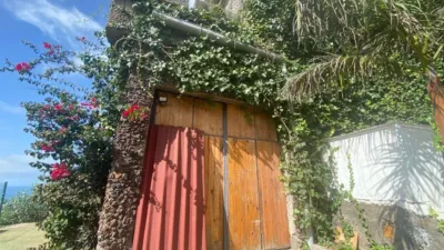 Rustic Finca on Calle de los Dátiles-Pino Alto photo 25