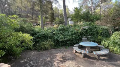Rustic Finca in Els Vinyals photo 9