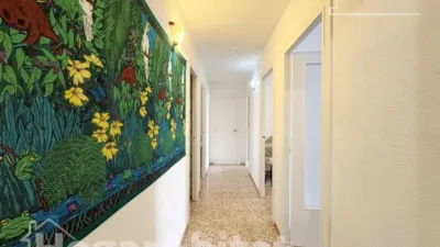 Apartment in Carrer del Cantalot photo 38