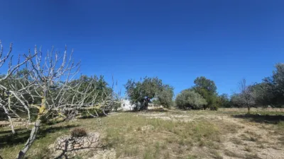 Rustic finca in Polígono 6 Parcela 206 Codonyol, Alcanar [Tarragona] photo 17